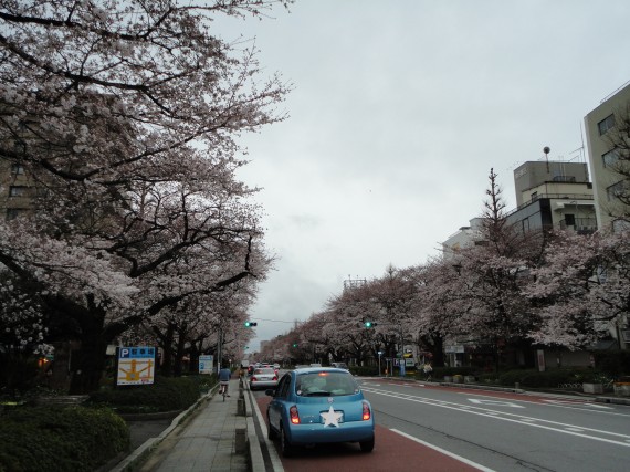 DSC01719